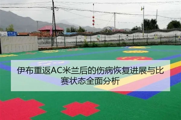 伊布重返AC米兰后的伤病恢复进展与比赛状态全面分析